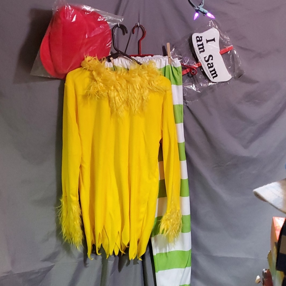 Adult Dr Seuss costume Green eggs and ham XL